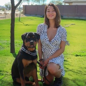 Sevenwondersthelabel polka dot dress